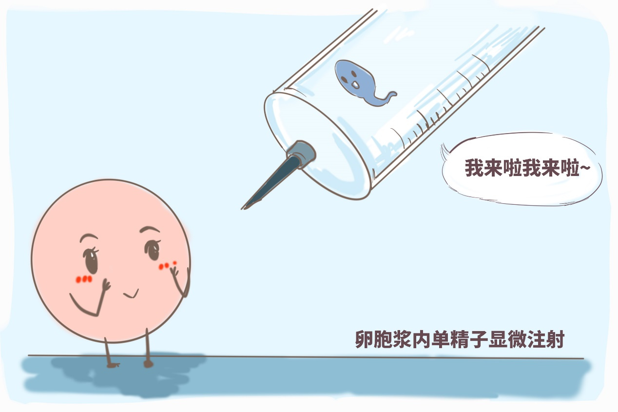 85天的胎儿真实图片视频 85天的胎儿真实图片